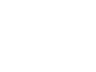 logos-fh sports 400